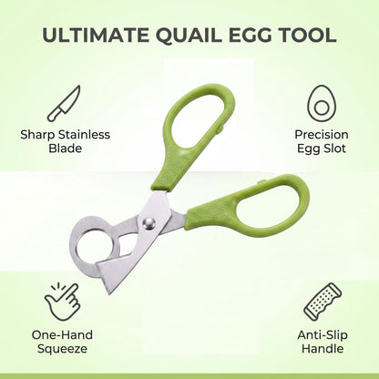 Stainless Steel Quail Egg Scissors for Cutting and Opening Eggs