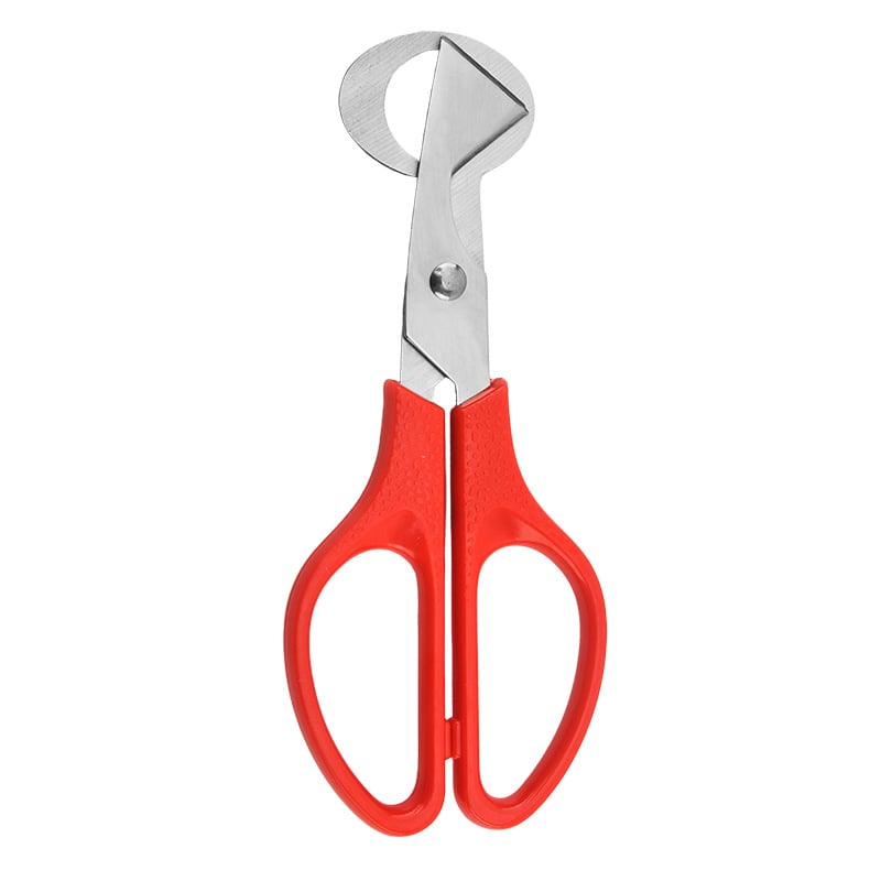 Stainless Steel Quail Egg Scissors for Cutting and Opening Eggs