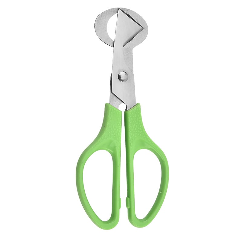 Stainless Steel Quail Egg Scissors for Cutting and Opening Eggs