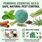 🌿 Natural Peppermint Rodent Repellent – 12 Pack | Safe, Chemical-Free Pest Control