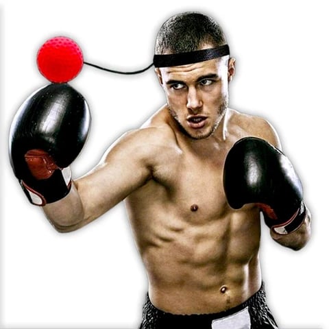 🎄New Style Boxing Reflex Ball